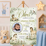 Tabuľky - Tabuľka pre bábätko Koníky DT14 - 18350937_