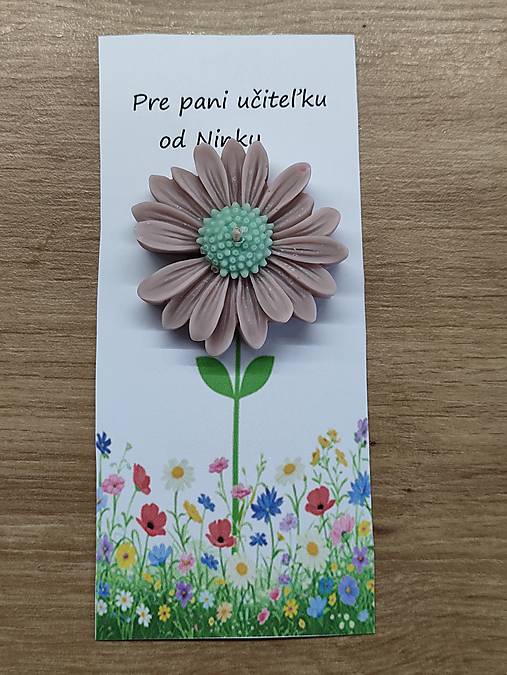 Darček pre pani učiteľku margarétka