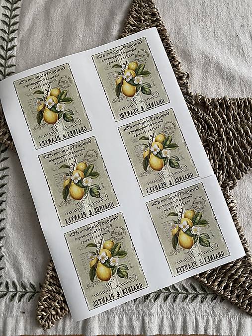 Papier - Nazehlovacie motivy „Citrony“ - 18355234_