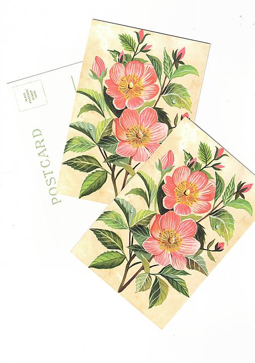 Papier - Pohľadnica "roses" - 18395248_