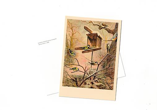 Papier - Pohľadnica r. 1900, Sýkory - 18395397_