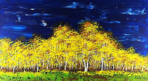 Obrazy - Autumn birch forest - 18438211_