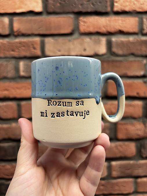 Rozum sa mi zastavuje 270ml hrnček
