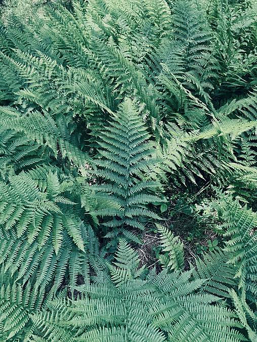 saty prirodne farbene bavlnene svetle