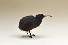 Dekorácie - Kiwi hnedý, skladom - 18464374_