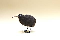Dekorácie - Kiwi hnedý, skladom - 18464375_