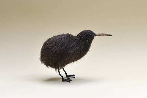 Dekorácie - Kiwi hnedý, skladom - 18464374_
