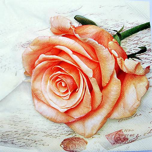 Papier - Servitka A 428 - 18473067_