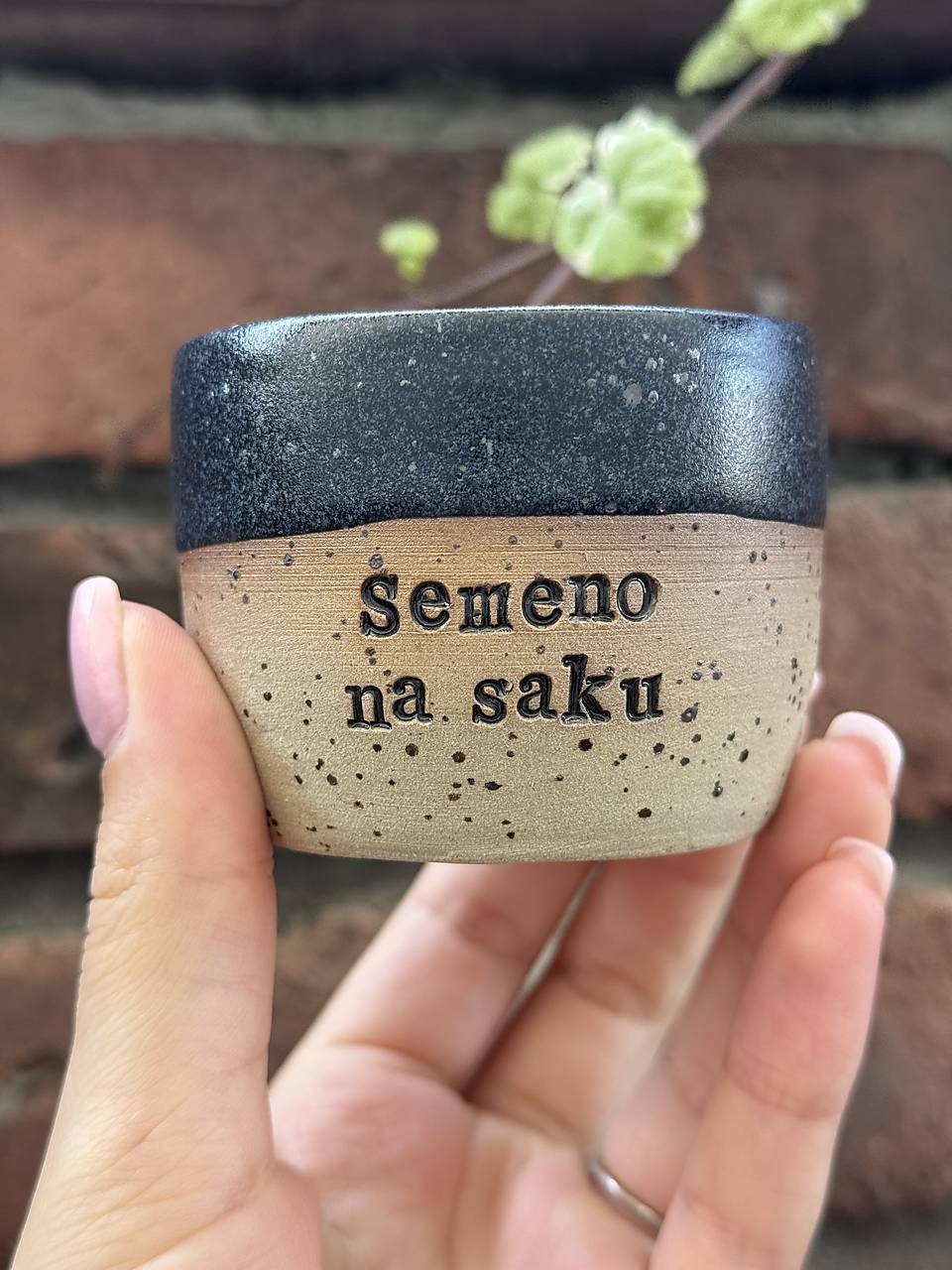 Semeno na saku 100ml pohárik