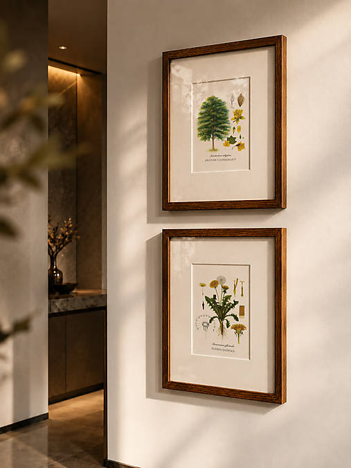 Obrazy - Botanický obraz A4 // Giclée art print - 18489072_