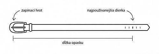 Opasok dvojstrmeňový.