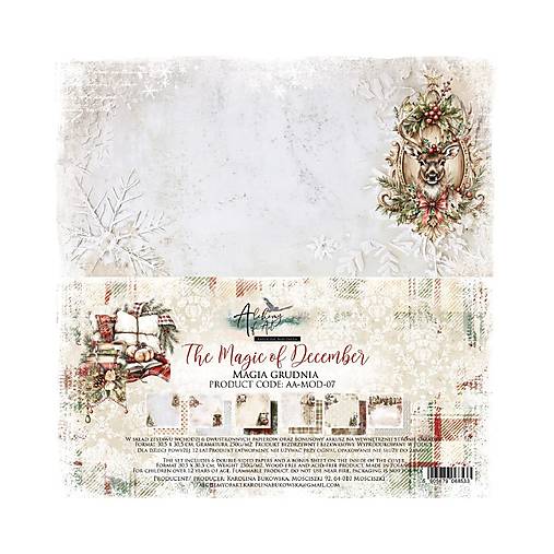 Papier - Scrapbook papier The Magic of December Alchemy of Art  12 x 12 - 18513995_