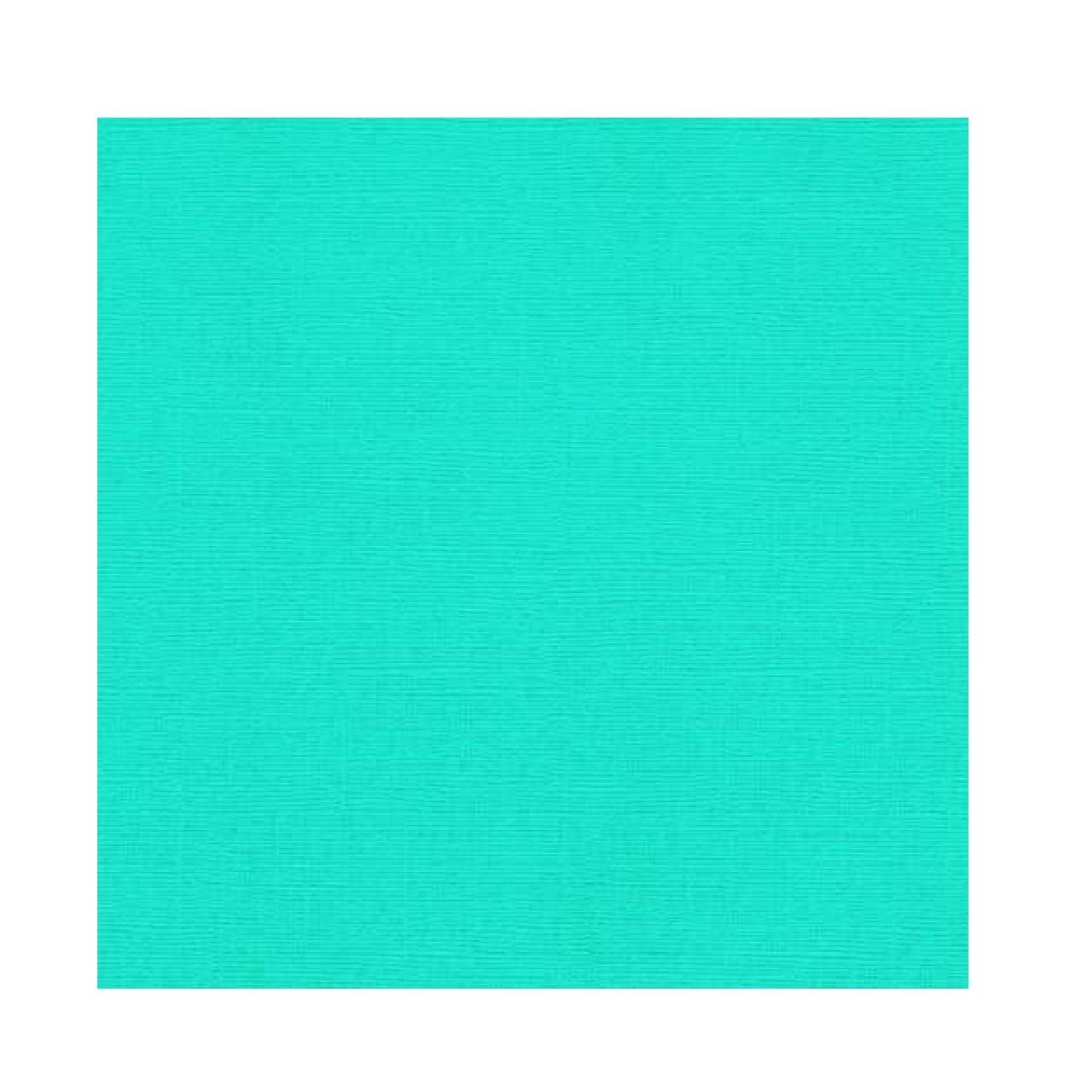 Jednofarebný textúrovaný kartón Aquamarine  SCB172050  12x12