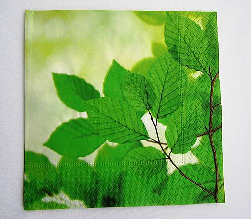 Papier - Servítka  P 002 - 18541587_