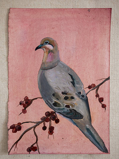 Obrazy - Mourning dove - 18563400_