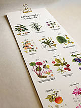 Papiernictvo - Večný botanický kalendár // PREDOBJEDNÁVKA - 18576479_