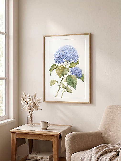 Obrazy - Botanická akvarelová maľba – Hortenzia, Fine Art Giclée print (PRINT 50x70cm s rámom (61x90cm s paspartou)) - 18591473_