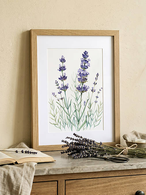 Obrazy - Botanická akvarelová maľba – Levanduľa, Fine Art Giclée print - 18609733_
