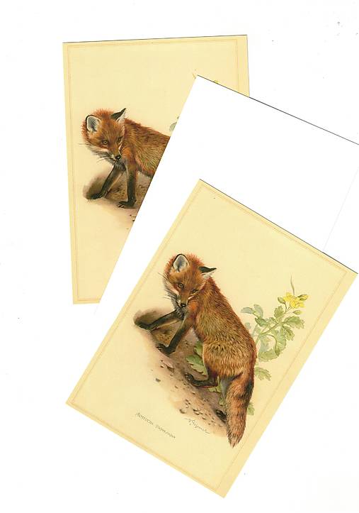 Papiernictvo - Pohľadnica "líška" - 18610681_