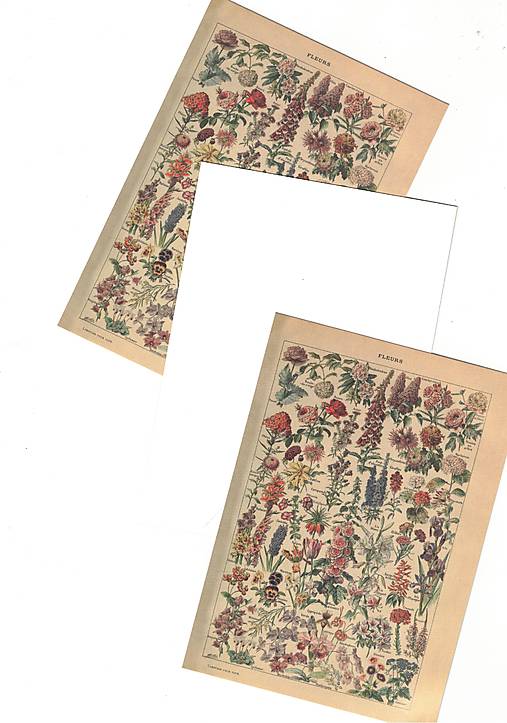 Papiernictvo - Pohľadnica "kvety atlas" - 18610687_