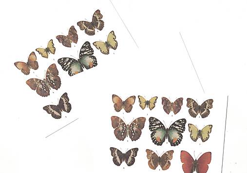 Papiernictvo - Pohľadnica "motýle" - 18610689_