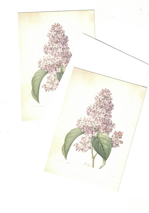 Papiernictvo - Pohľadnica "orgován" - 18610702_
